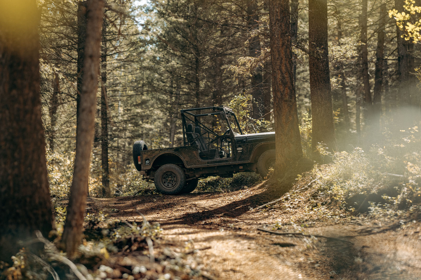 Why choose ROXOR for your next adventure? Off-roading side-by-side.